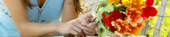 Homeopathic Practitioners Northern Beaches Sydney